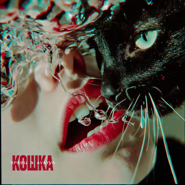 Кравц, AVAYVA - Кошка