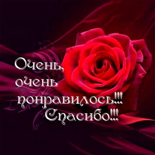 w140 все песни в mp3