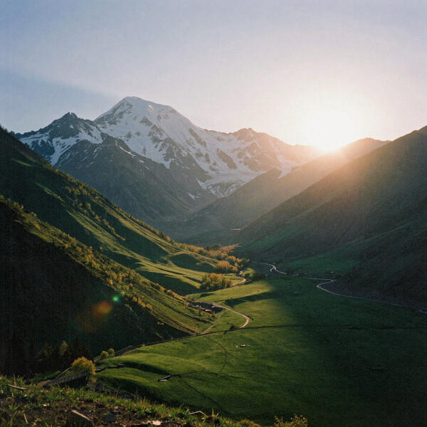 zovo все песни в mp3