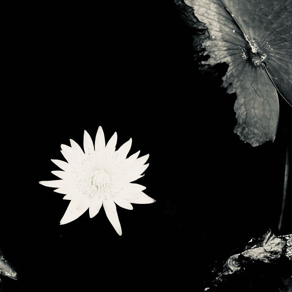 Альбом Наоборот исполнителя MiyaGi & Эндшпиль