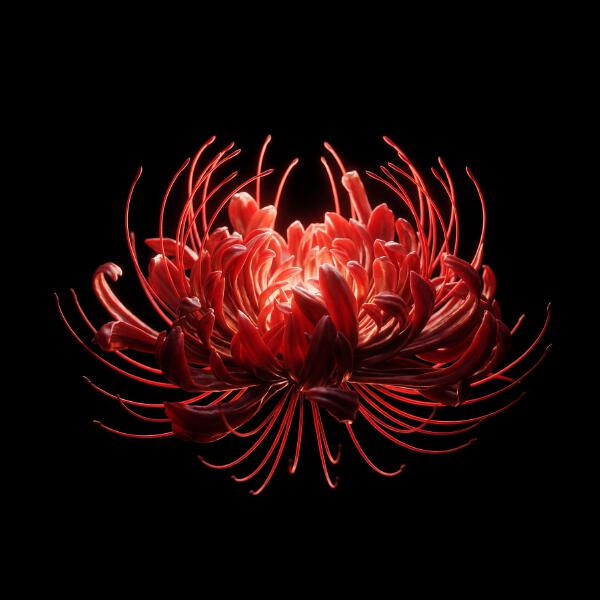 The Limba - С кем ты играешь?