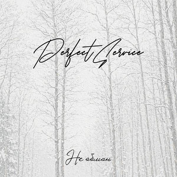 Perfect Service - Не обман
